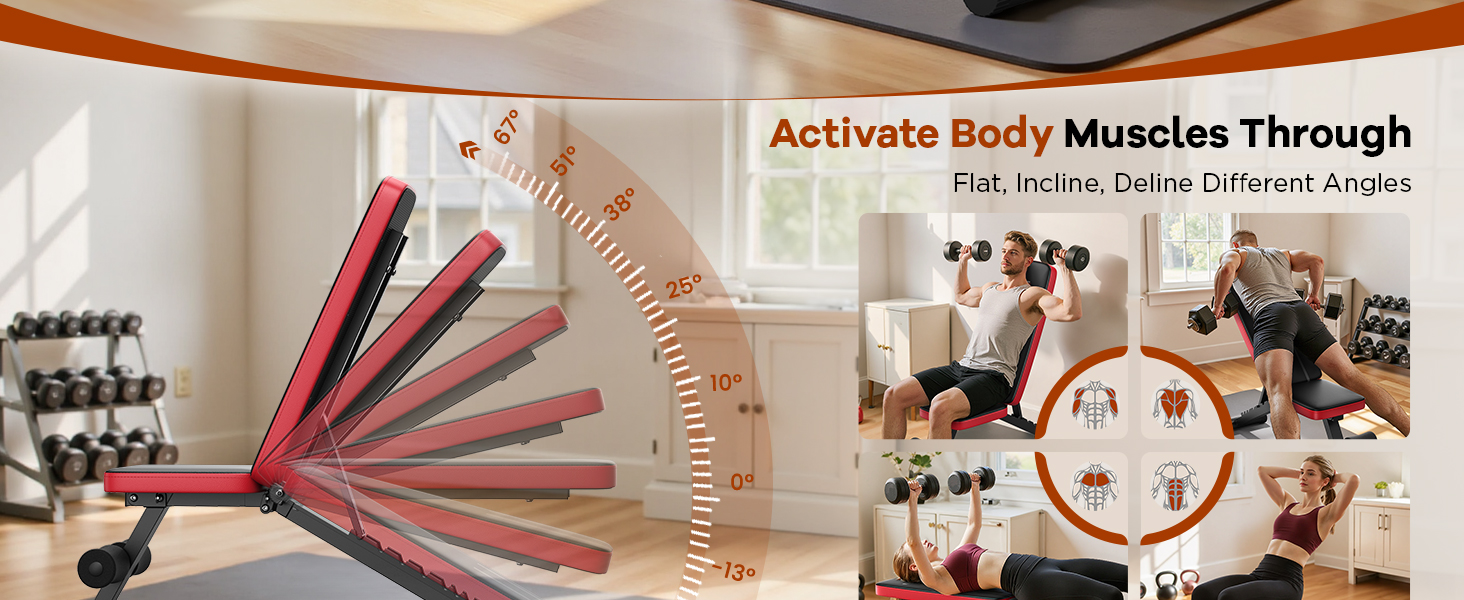 workout bench