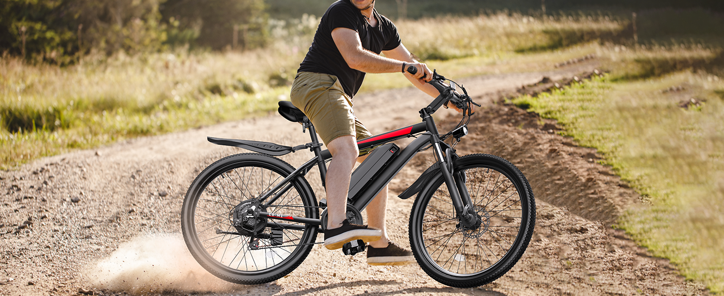 electric bike