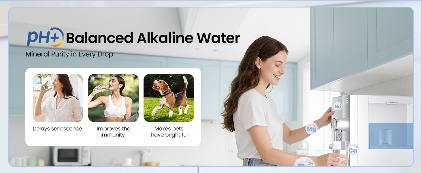 ice maker water filter water dispenser countertop ice machine
