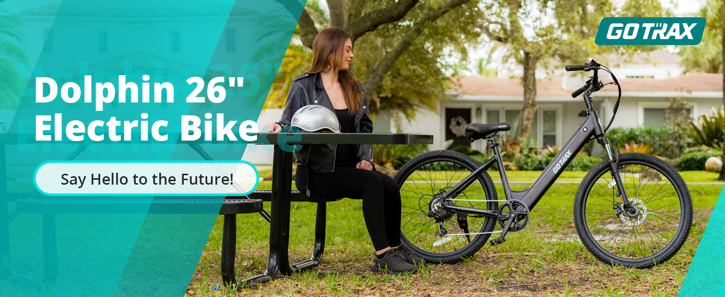 electric bike