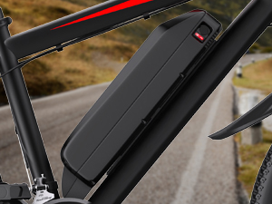 electric bikes