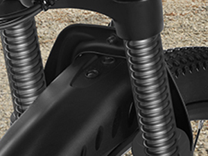 ebikes