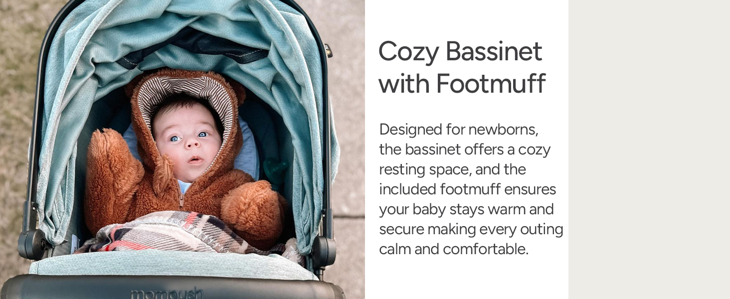 bassinet