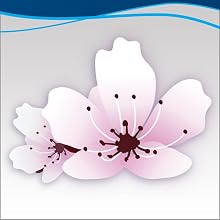 Steam Mop, Steam cleaner, Hard floor cleaner, All natural, Ceramic, tile, laminate, hardwood