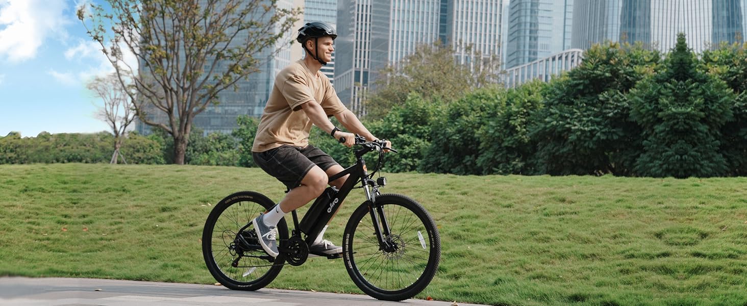 Qlife Electric Bike