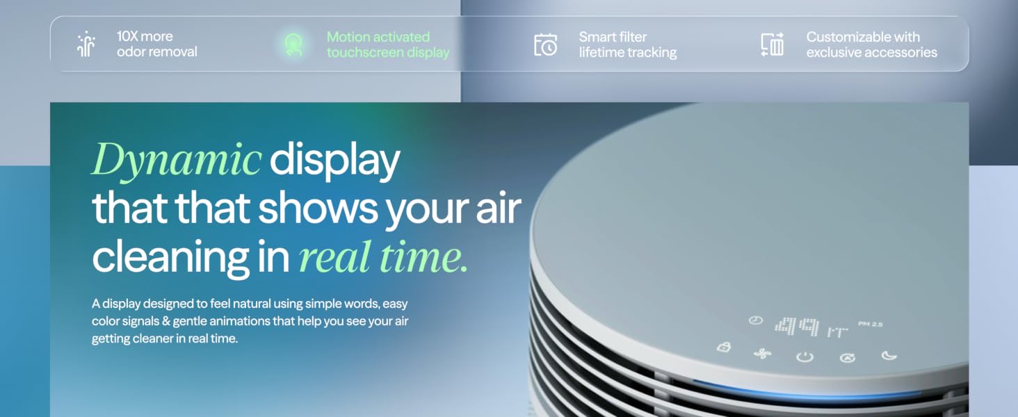 Dynamic display