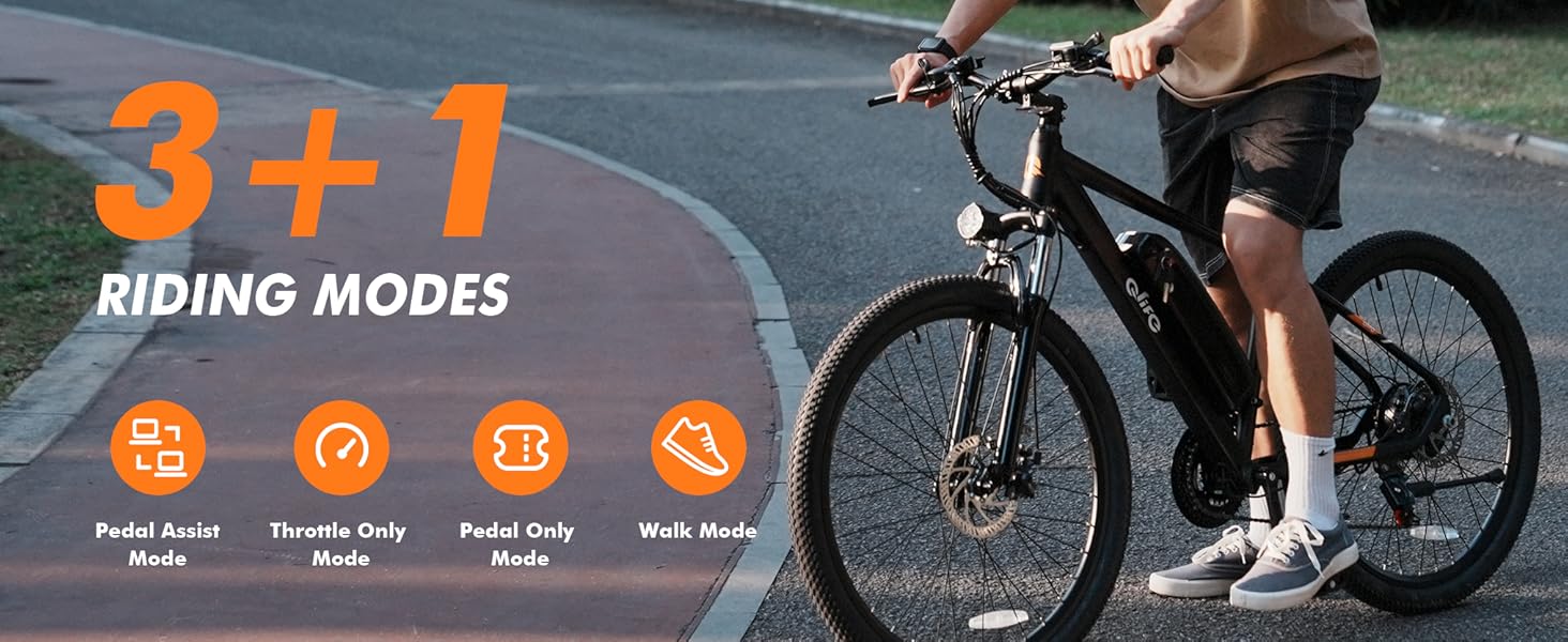 Qlife Racer Electric Bike