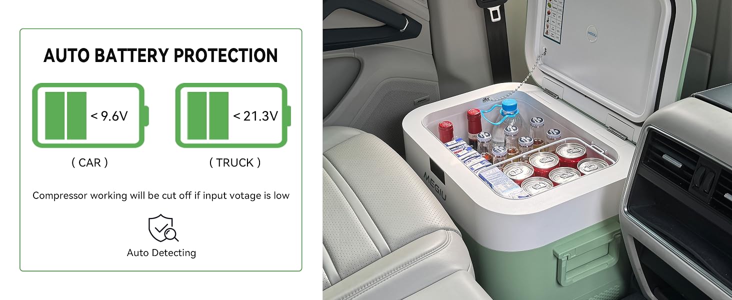 car freezer