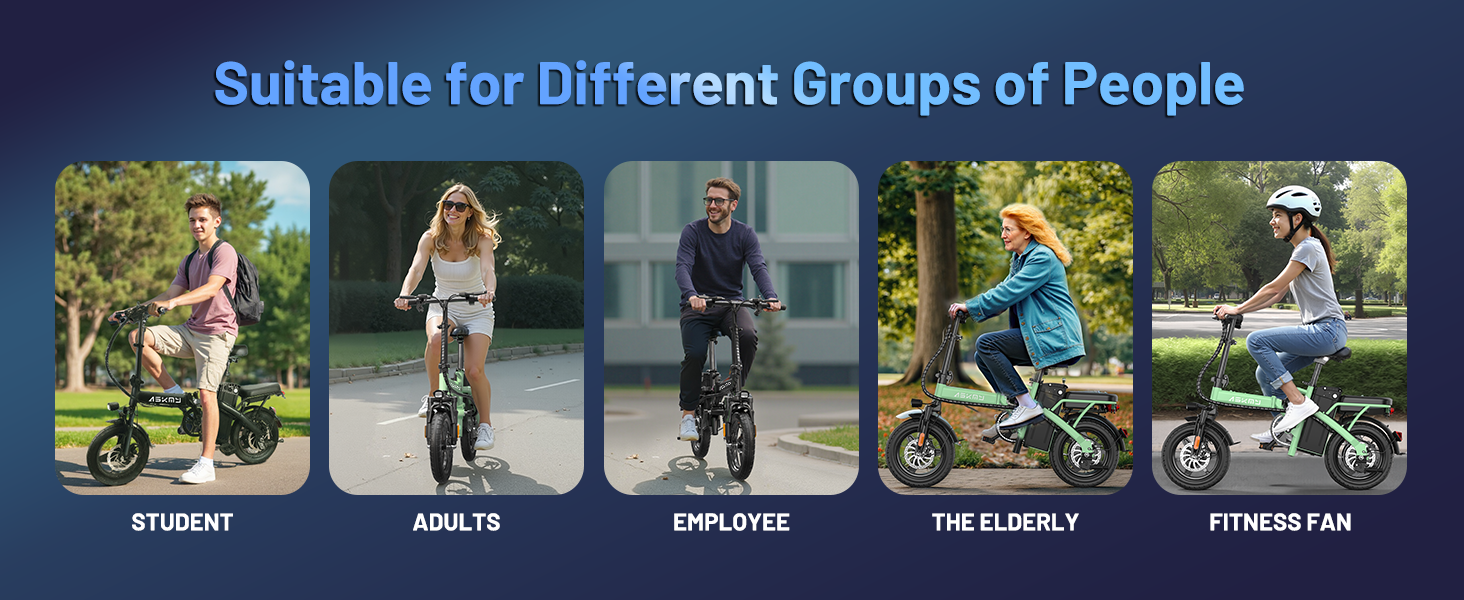 electric bicycle for adults
