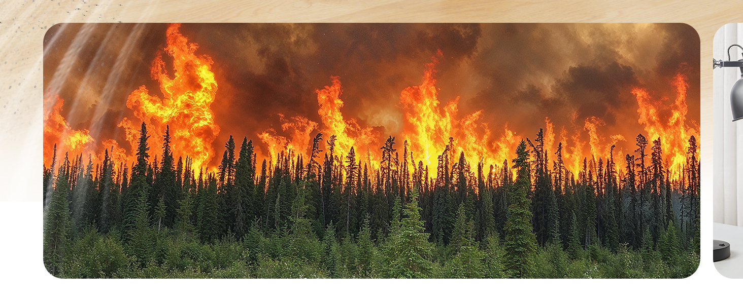 Wildfire Smoke