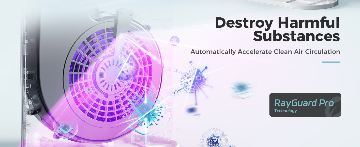 air purifier