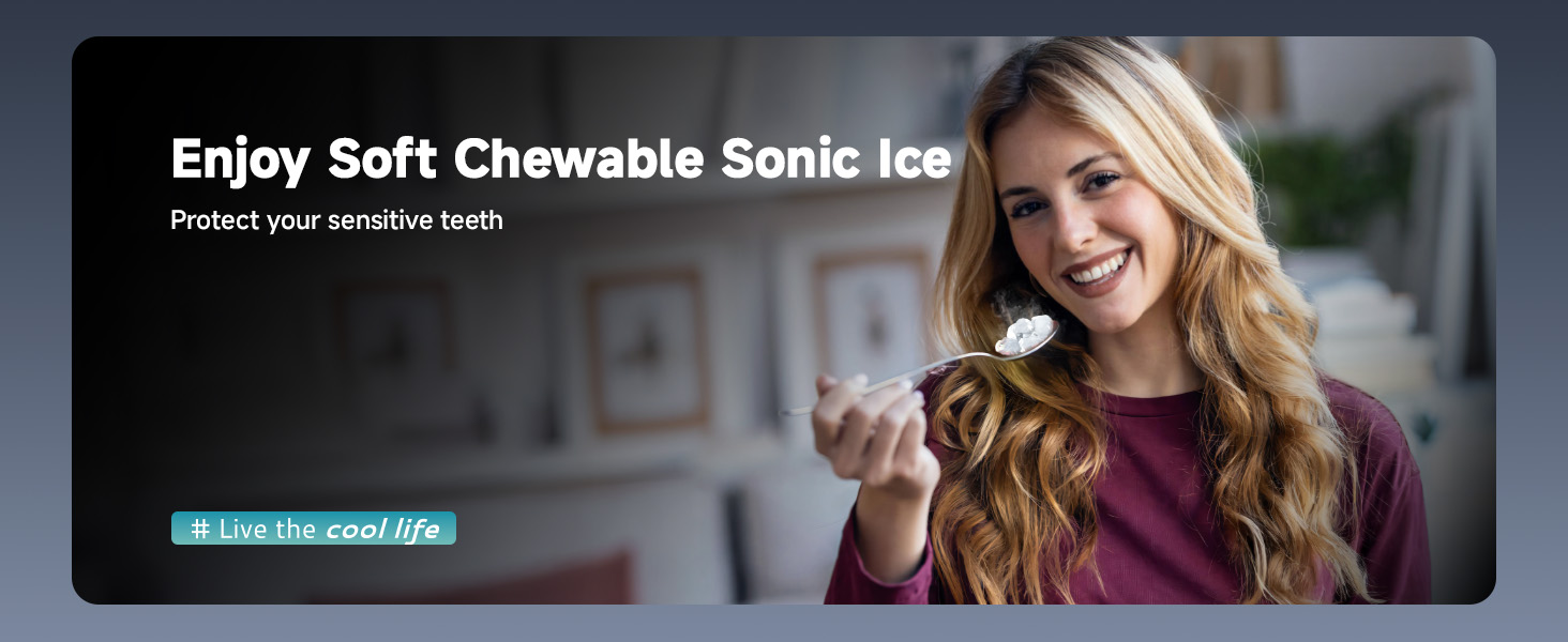 ice maker5-2