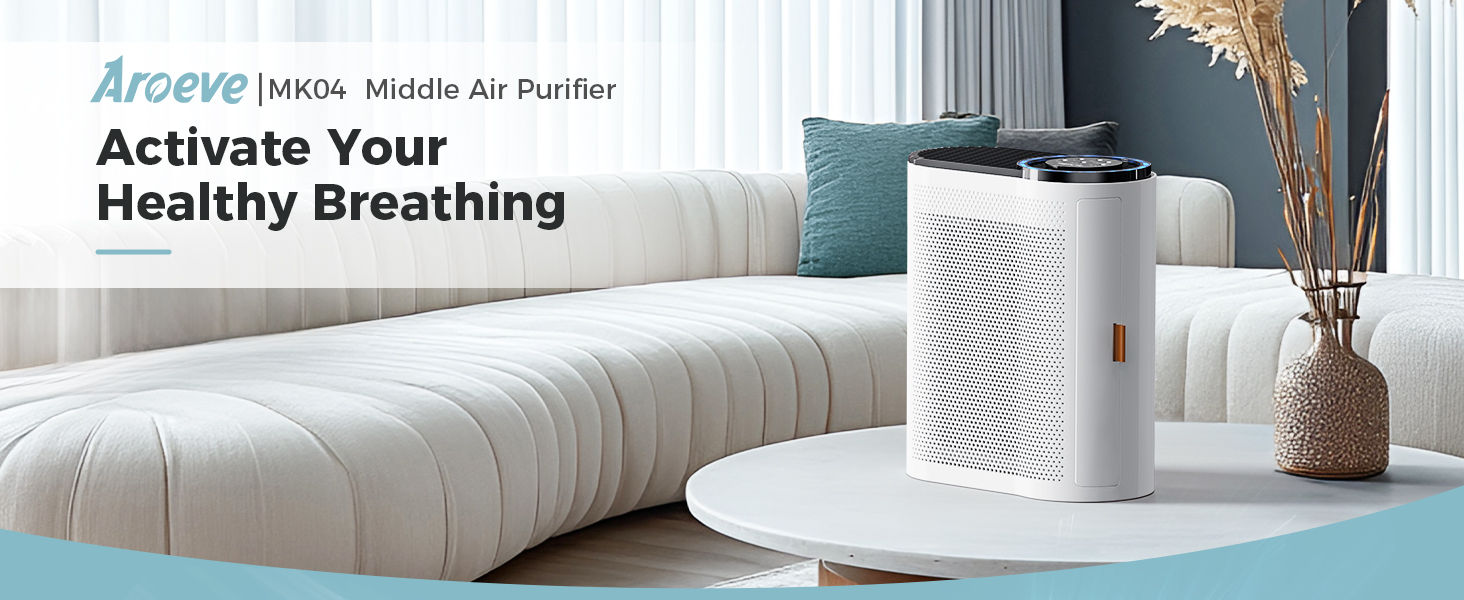 air purifiers for home large room