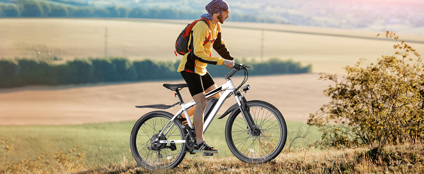 electric mountain bike