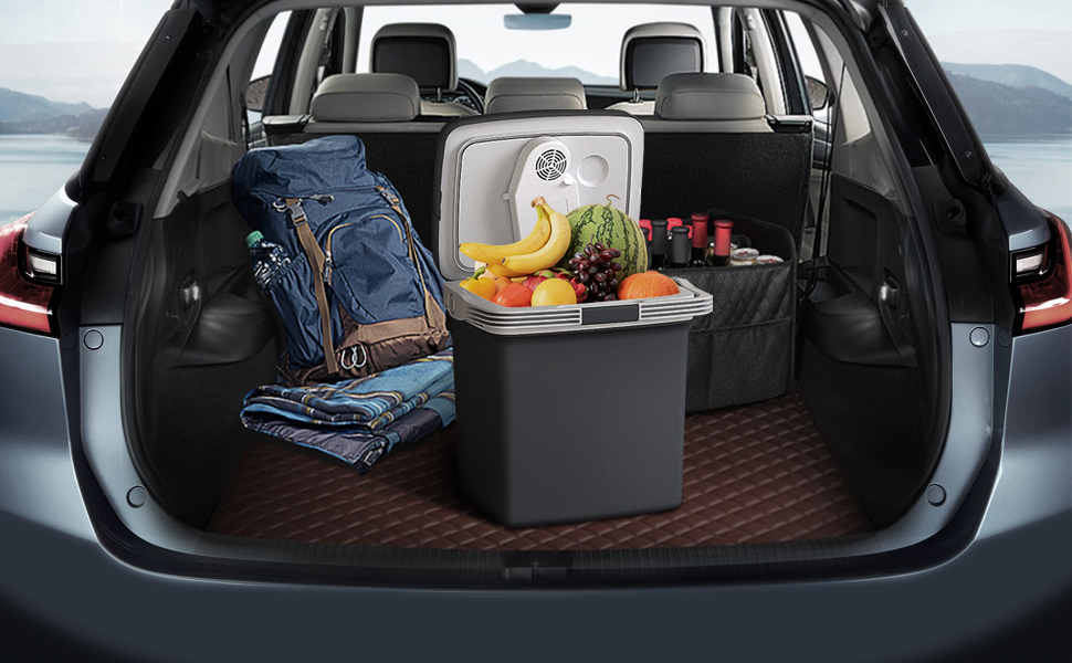 car fridge