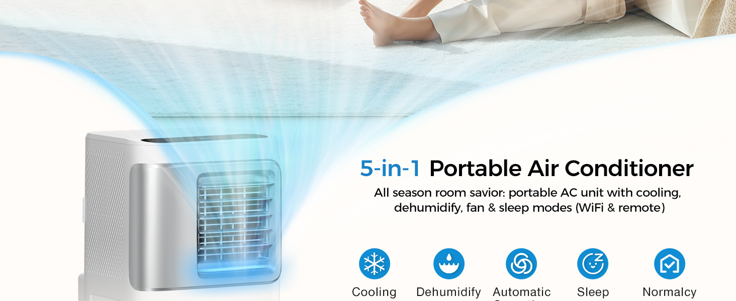 portable air conditioner
