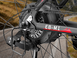 ebikes for adults