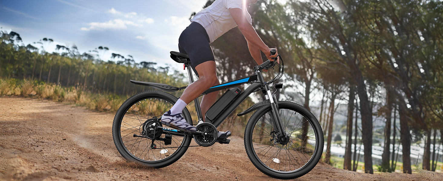electric bike for adults