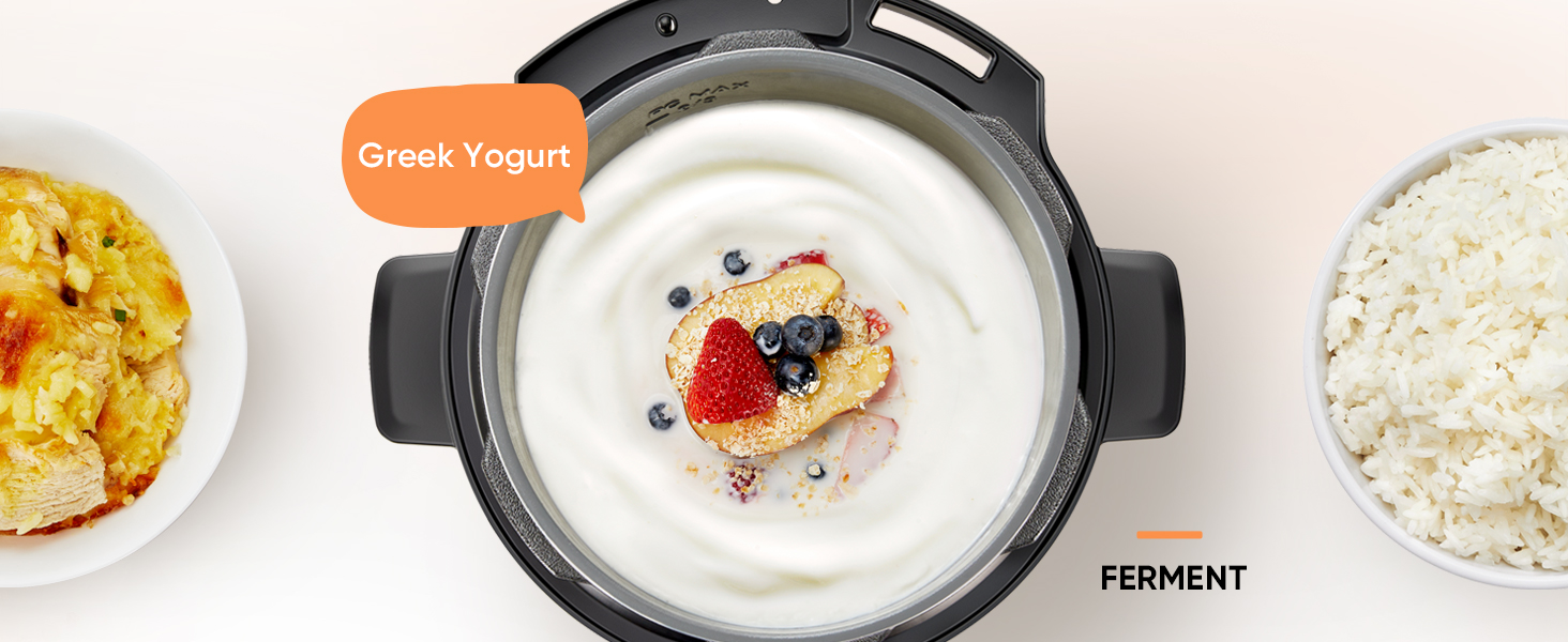 The ferment function can do more than yogurt, and support to adjust temperature within 77?and 356?