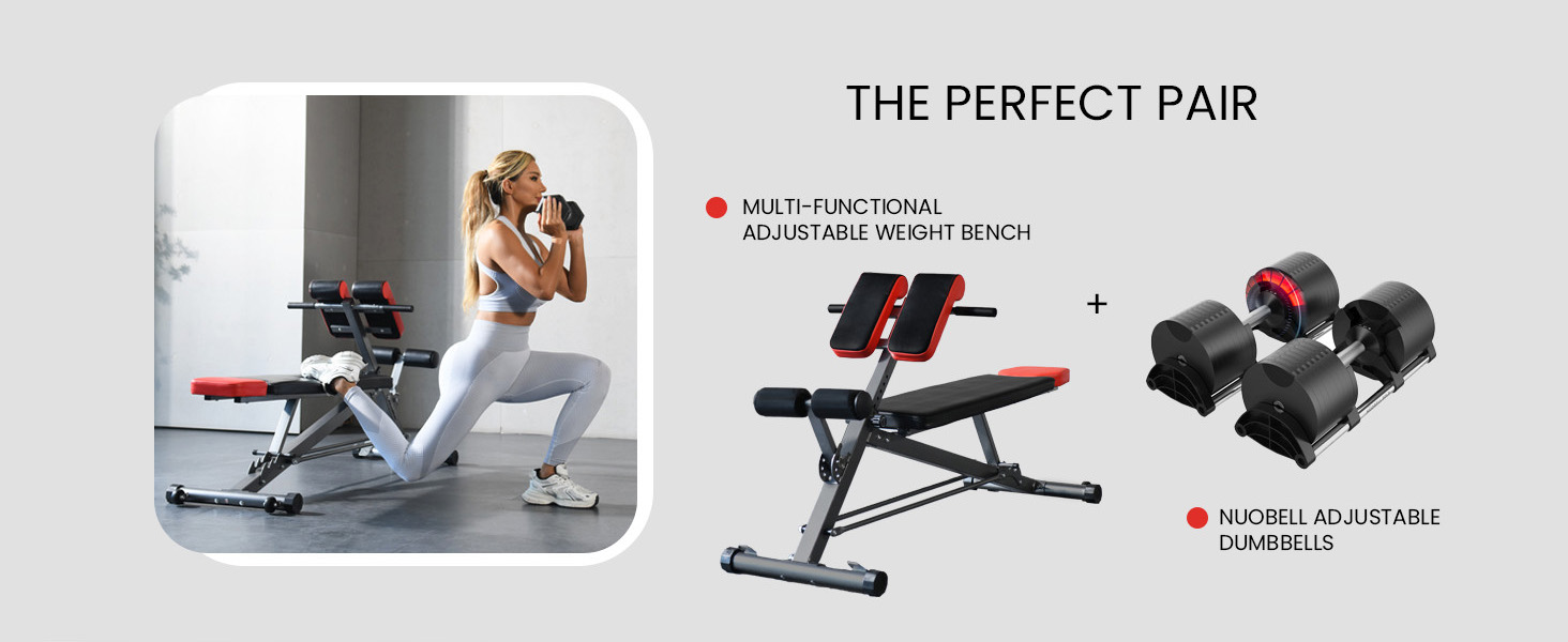 bench
