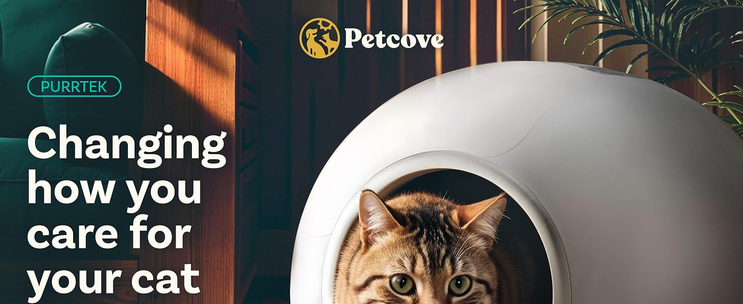 self cleaning litter box automatic cat litter box self cleaning cat litter box automatic cleaning