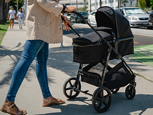 newborn stroller