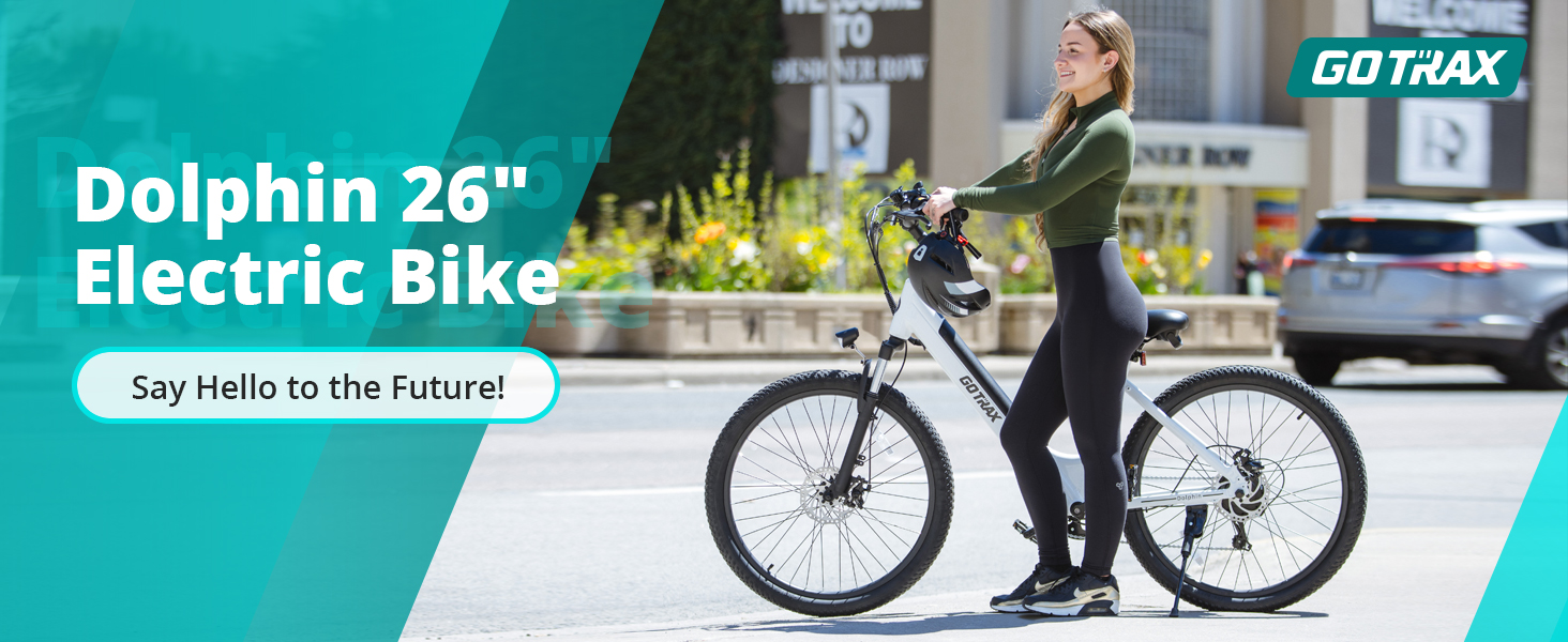 electric bike