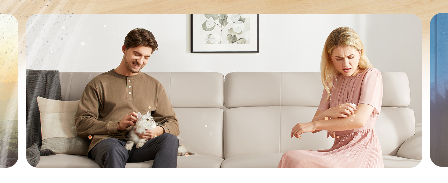 Pet Dander