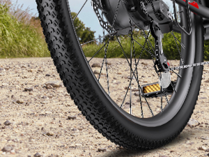 electric bike