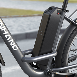 ebike for adults