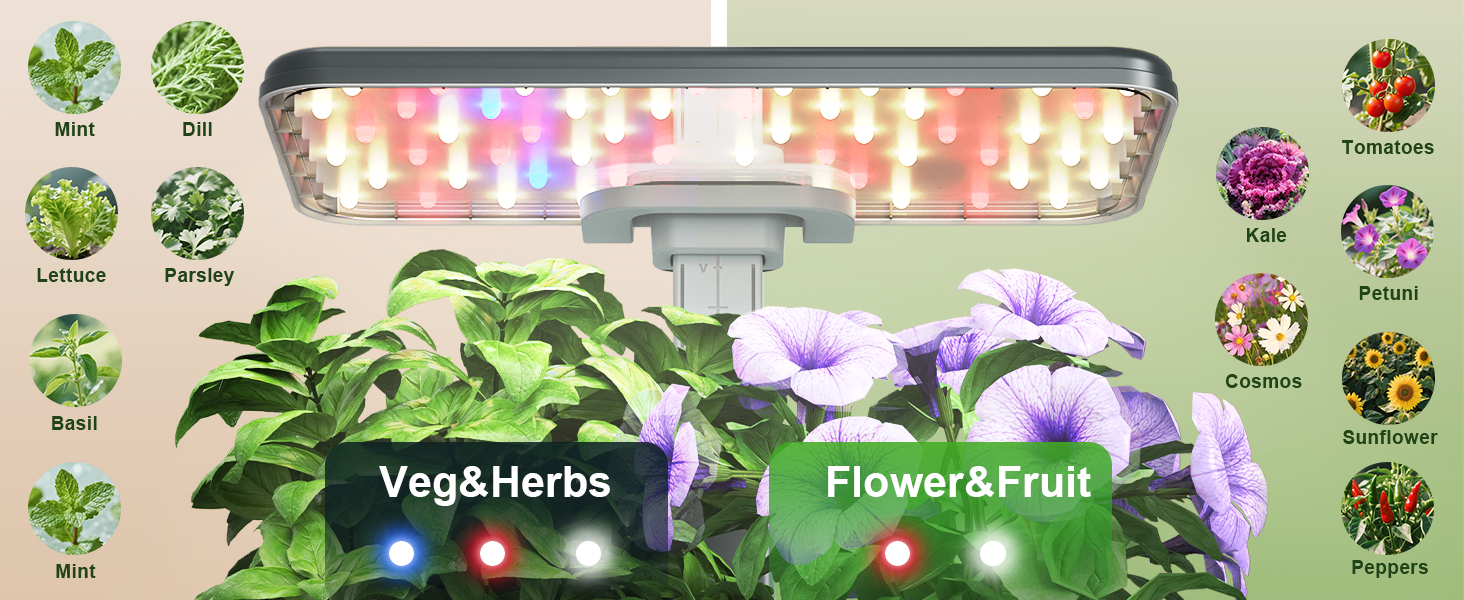 microgreens growing kit indoor greenhouse with grow light indoor gardening system