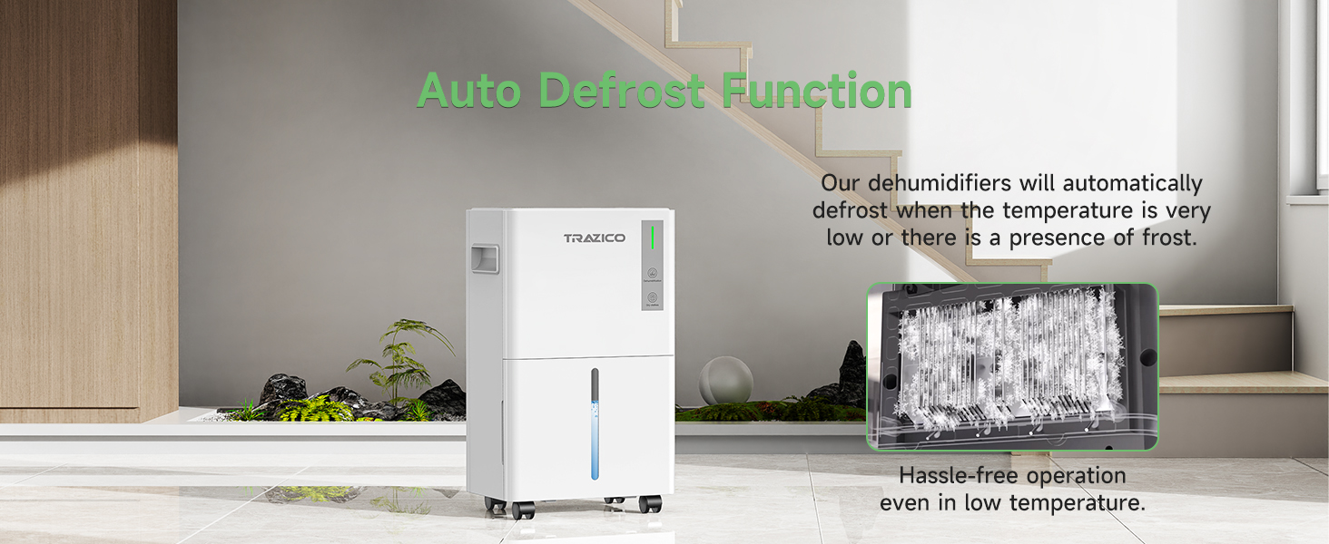 dehumidifiers for basement with Automatic Defrost