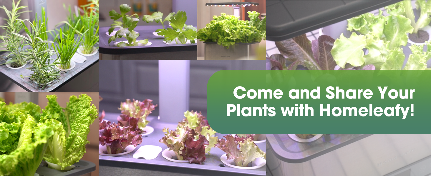 gardyn hydroponic system hydroponic growing system indoor herb garden with grow light