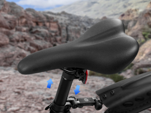 electric bike for adults