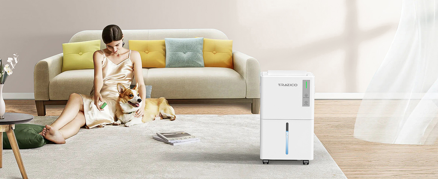 Dehumidifier for large room Living Room